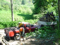 30th May 2009 019